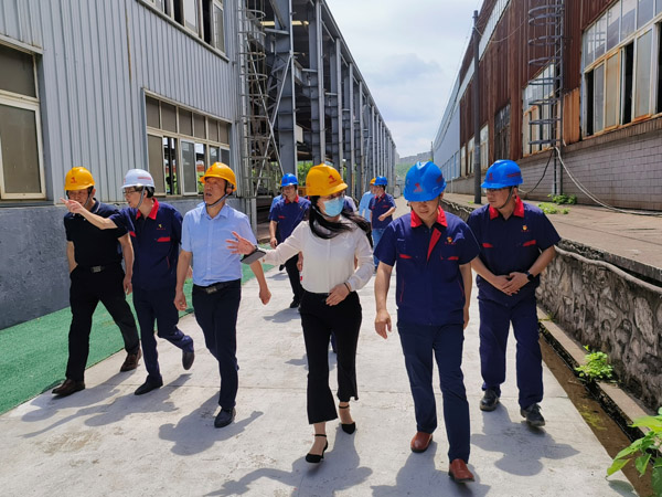 省國資委到公司督導環(huán)保整改工作 省國資委到公司督導環(huán)保整改工作