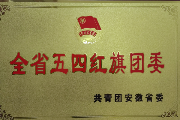 公司團(tuán)委獲得一項省級榮譽 公司團(tuán)委獲得一項省級榮譽